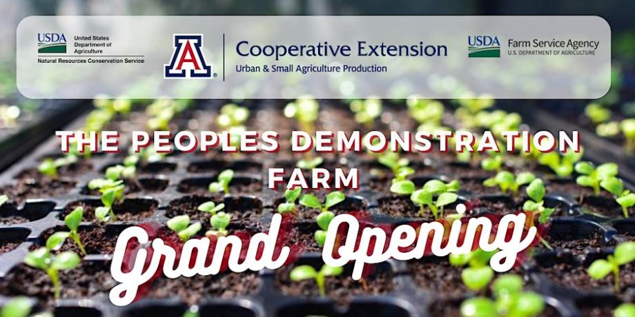 Grand Opening of People's Demo Farm